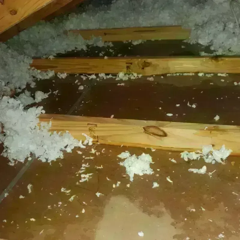 Attic Water Damage in Central Point, OR