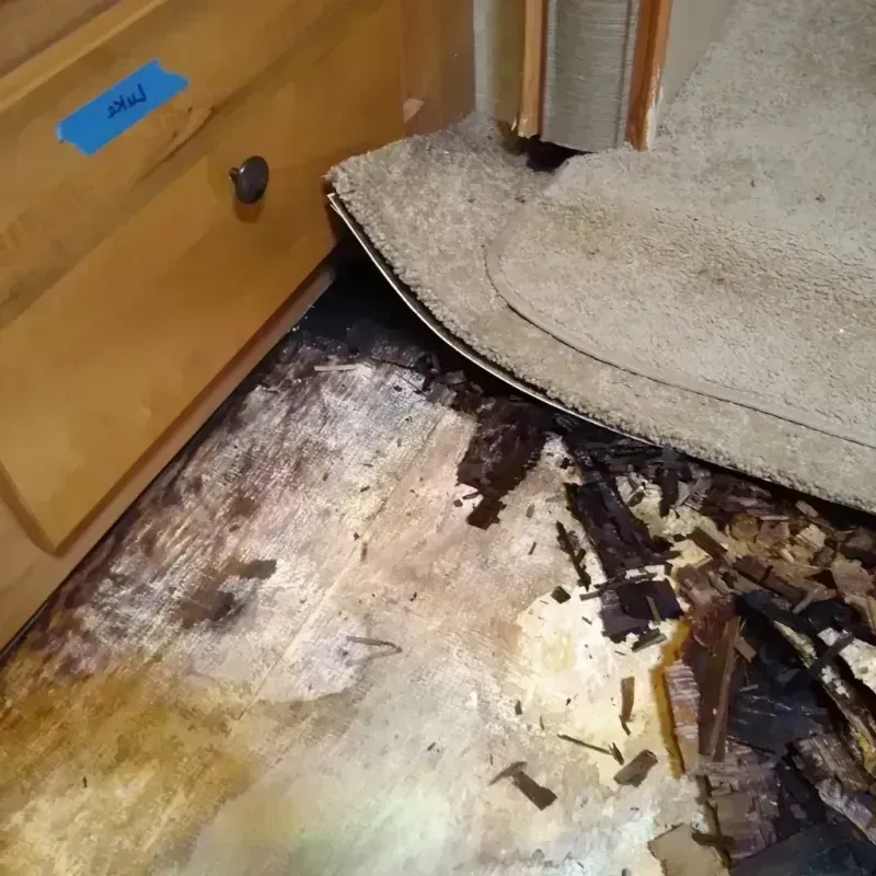 Wood Floor Water Damage in Central Point, OR